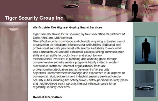 Tiger Security Group Inc