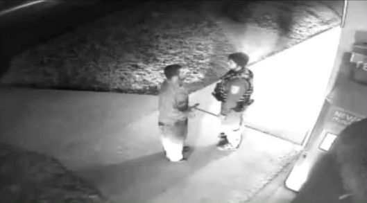 Security Guard, Excessive Force, 