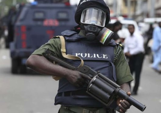 Special Anti-Robbery Squad Police, Nigerian police 