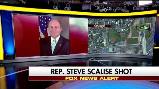 Rep Steve Scalise-SHOT